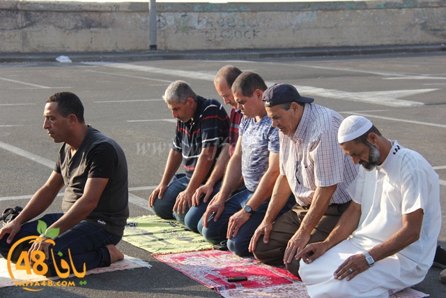 7oajaj yaffa j384 (41).JPG